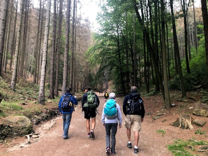 Một ngày dạo chơi tại công viên Bohemian Switzerland.